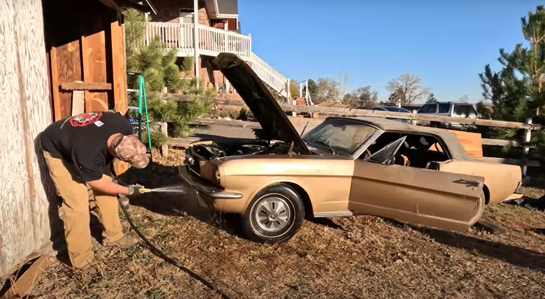 Редкий Ford Mustang 1966 года нашли в сарае, где он простоял более 40 лет и стал домом для мышей